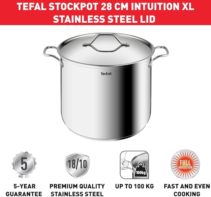 Tefal Intuition Casserole 28cm 12L Stainless Steel Induction XL
