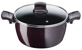 Tefal Resist Intense Stewpot 24cm with Lid