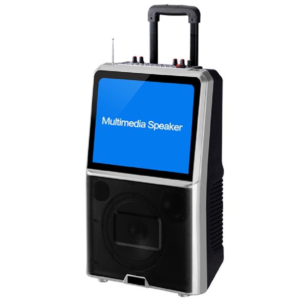 Portable Bluetooth Speaker 8 Inch Wireless Mic 2x30W