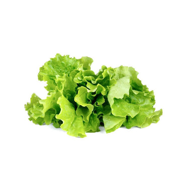 Click & Grow Green Lettuce Pods 3-Pack