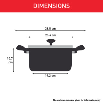 Tefal Tempo Flame Stewpot 24cm with Glass Lid