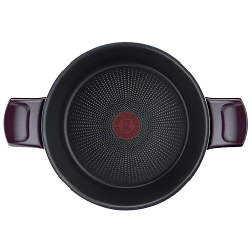 Tefal Resist Intense Stewpot 24cm with Lid