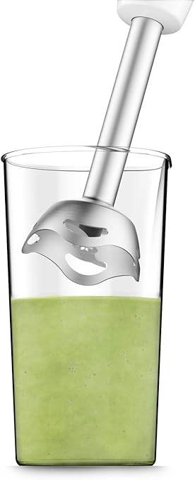 Moulinex Hand Blender 450W 2-Speed Stainless Steel