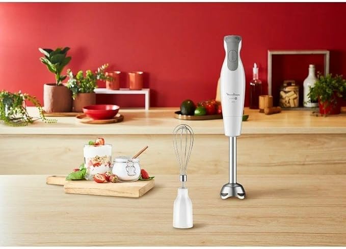Moulinex Hand Blender 600W 2-Speed with Accessories