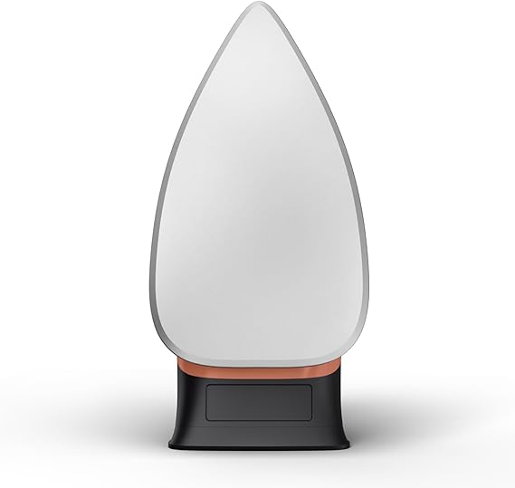 Tefal Classical Plus Dry Iron 1200W Non-Stick