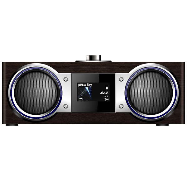 AEC Bluetooth Speaker BTF808 AM FM Micro SD