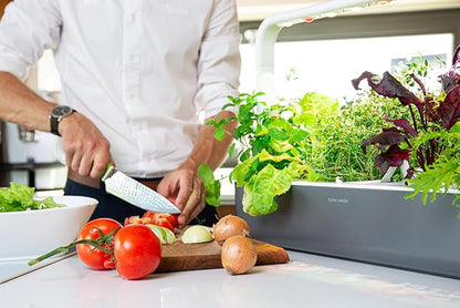 Click & Grow Smart Garden 9 Dark Grey