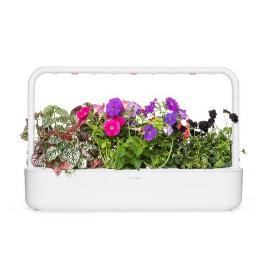 Click & Grow Vibrant Flower Mix Pods