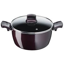 Tefal Resist Intense Stewpot 22cm with Lid