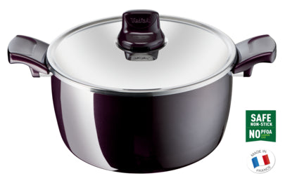 Tefal Resist Intense Stewpot 26cm with Lid