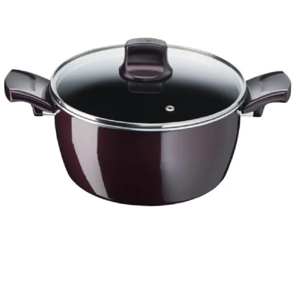 Tefal Resist Intense Stewpot 30cm with Lid