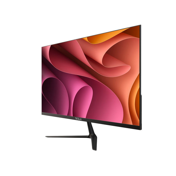 Tesla Monitor 21.5"